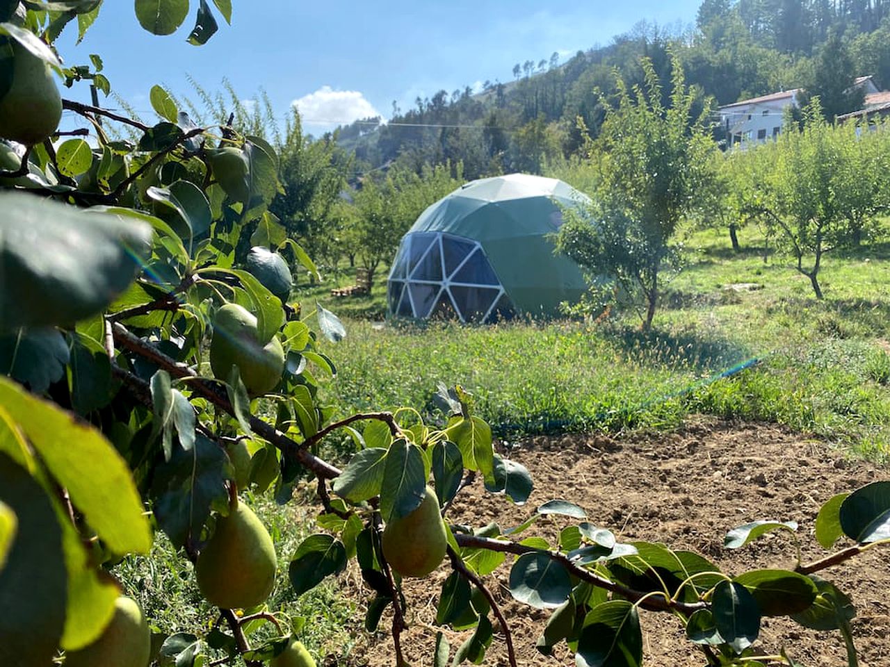 Beautiful Dome Rental Hidden in the Majestic Douro Valley in the North of Portugal