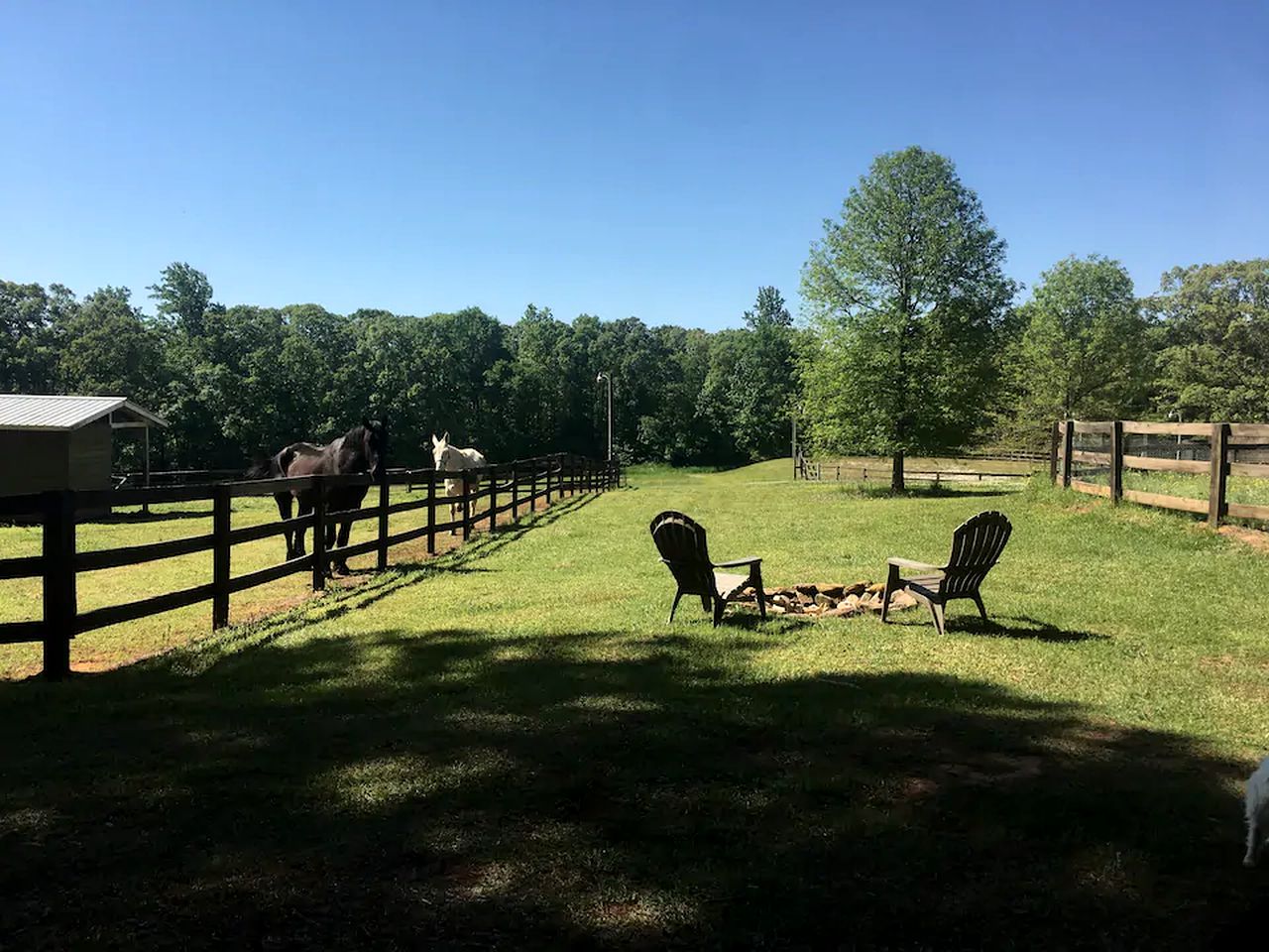 Vintage Georgia Airstream Nestled in the Pines