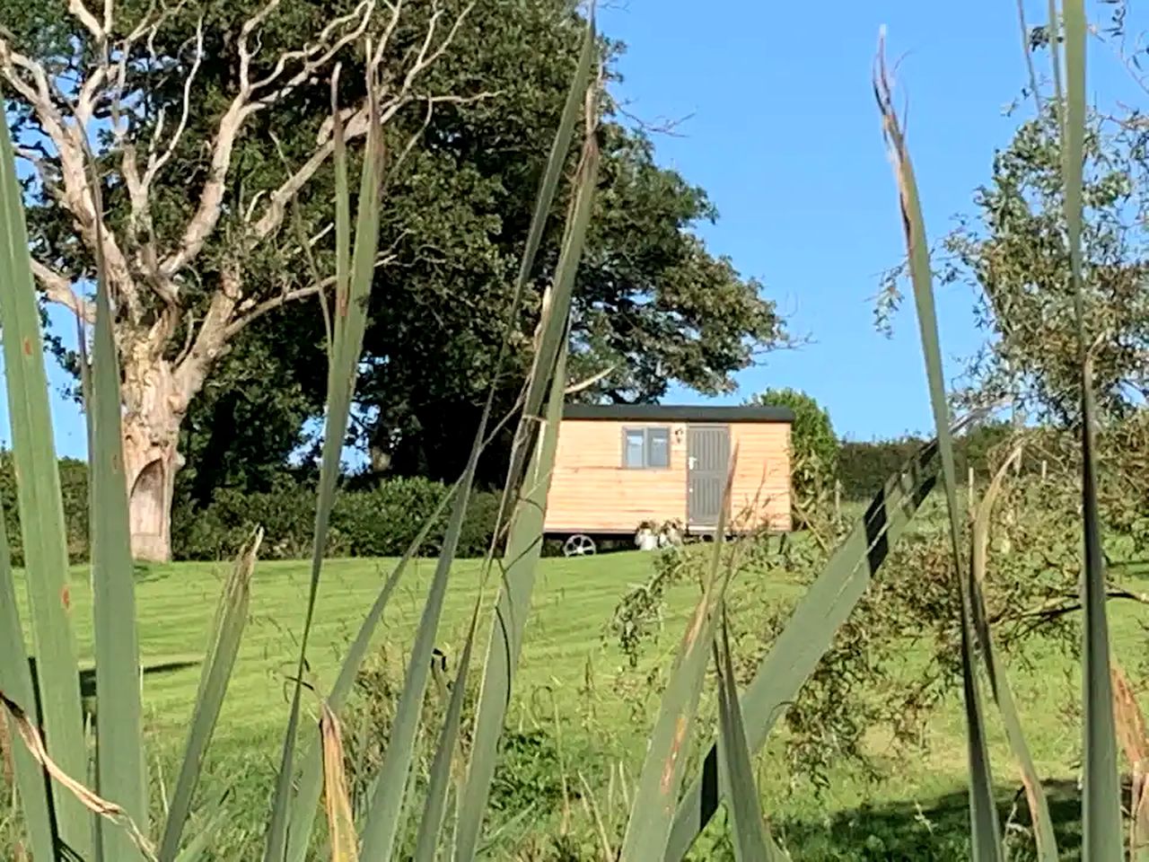 Luxury Shepherd’s Hut with Hot Tub Ideal for Glamping in Carmarthenshire, Wales