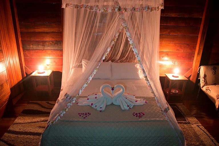 Vacations in the Amazon