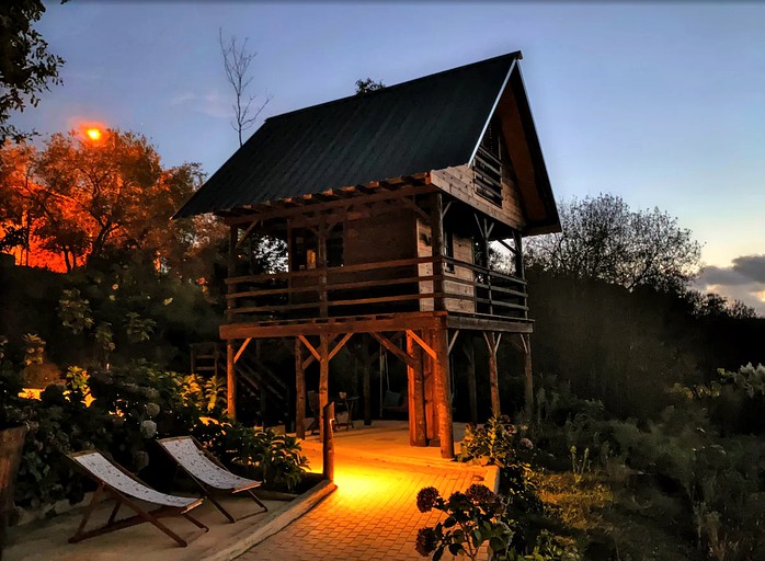 Tree house rental for glamping in Portugal