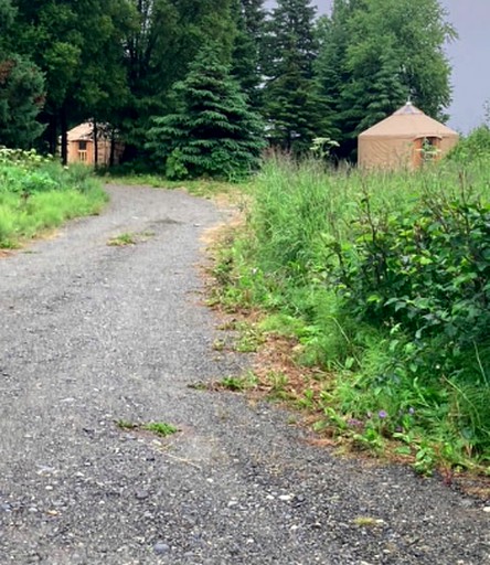 Yurts (Big Lake, Alaska, United States of America)