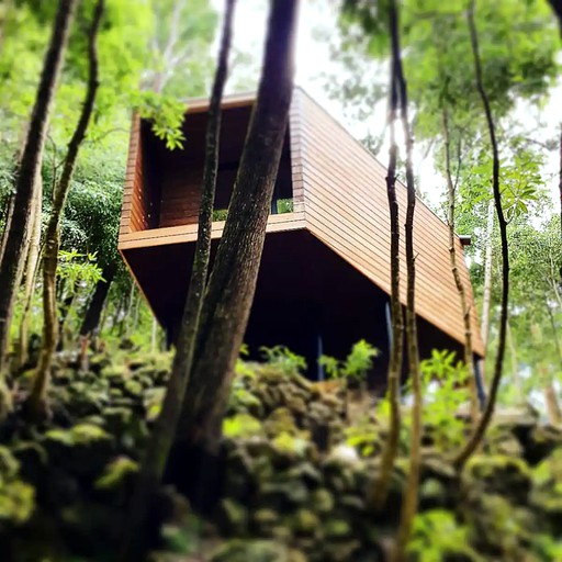 Cabins (Biscoitos, Azores, Portugal)