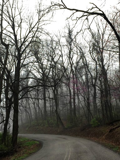 Cottages (Sweetwater, Tennessee, United States of America)