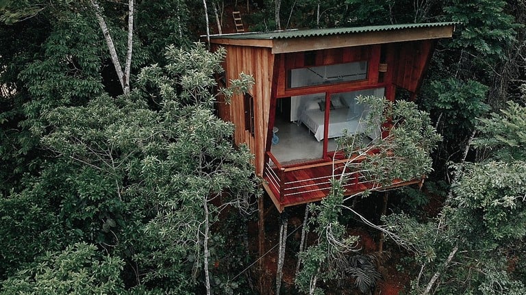 This Brazil tree house is the perfect escape from city life