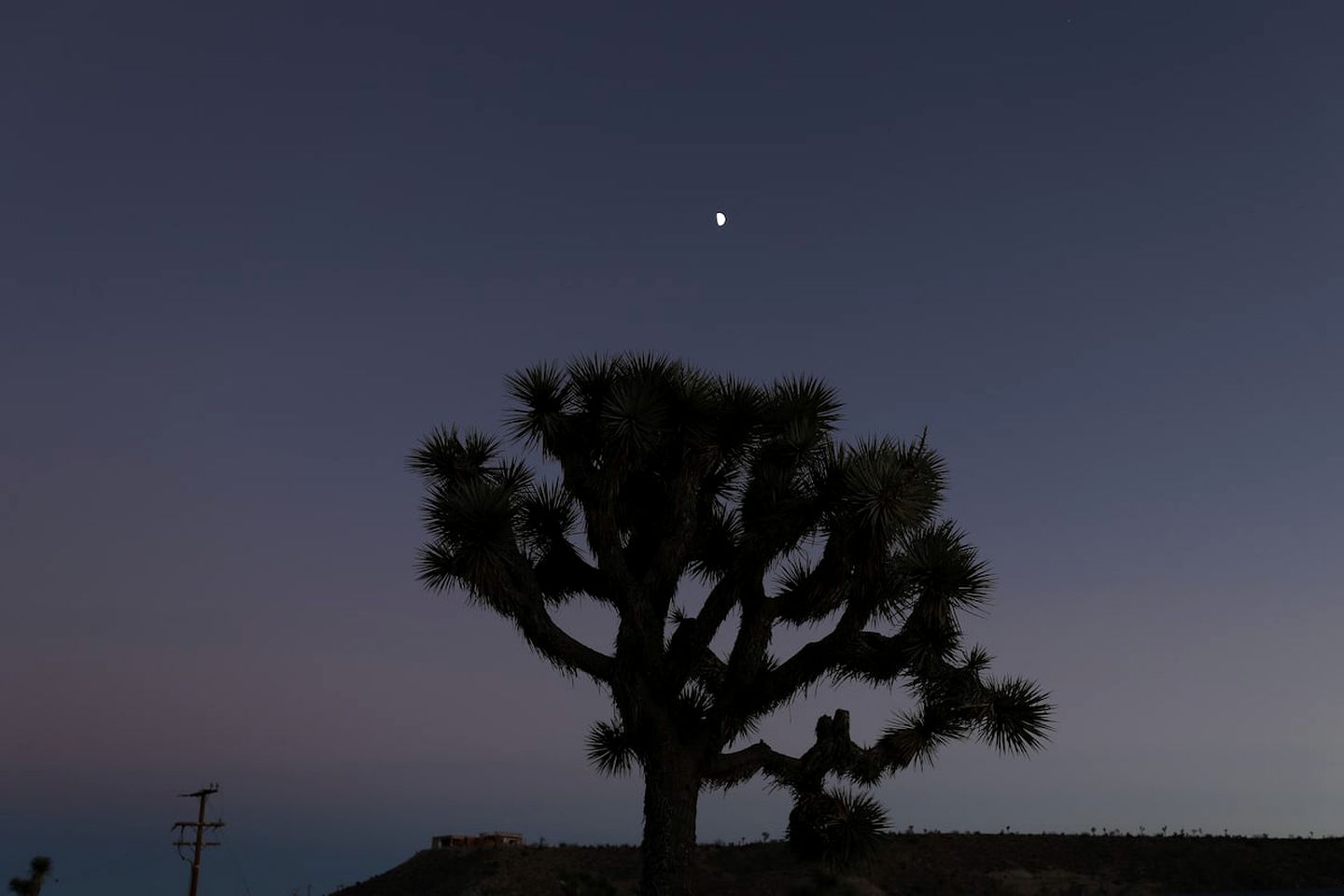 Joshua Tree Glamping Dome Rental for Desert Getaway