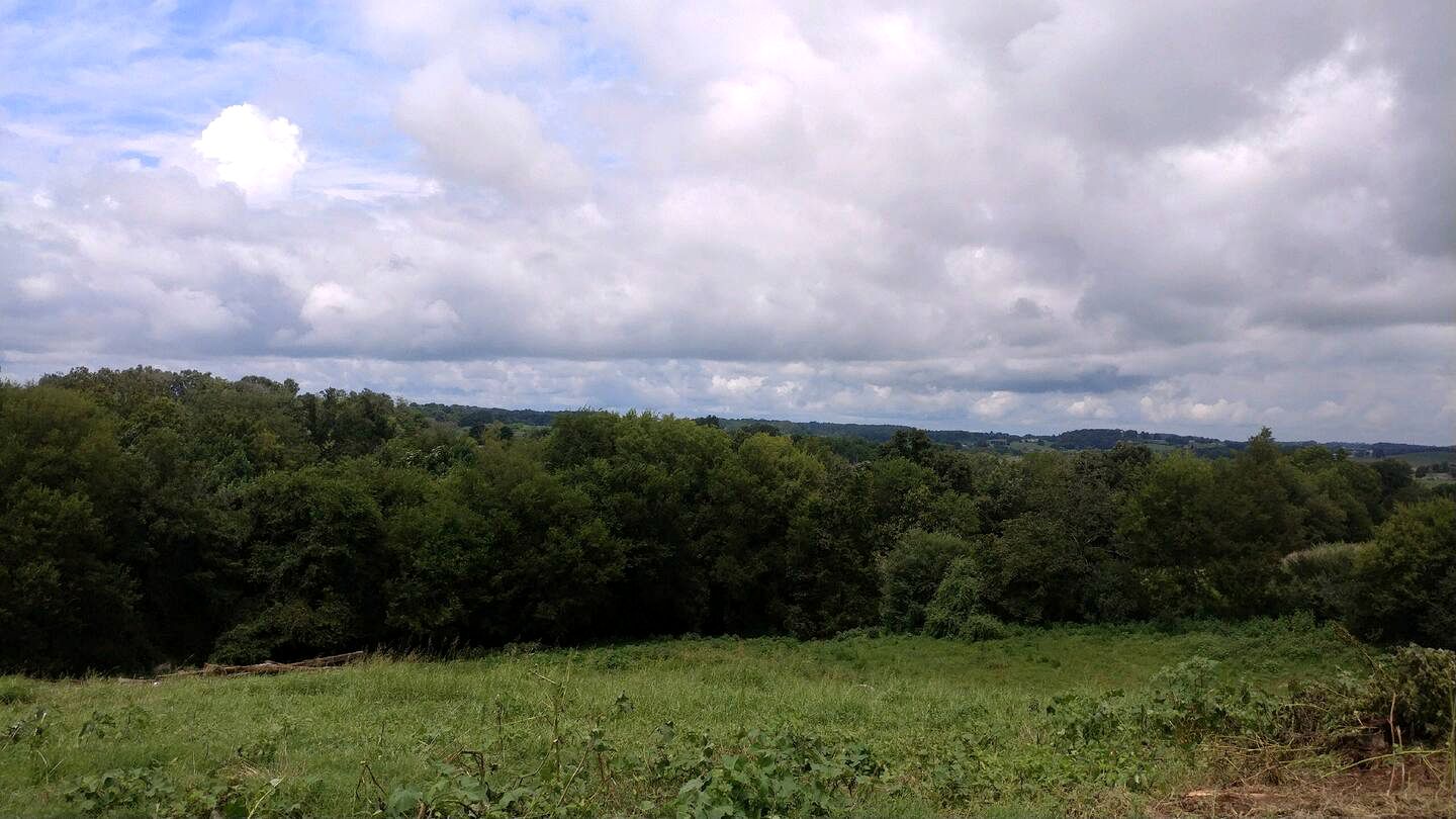 Spacious Caravan Rental for a Unique Vacation in Tennessee