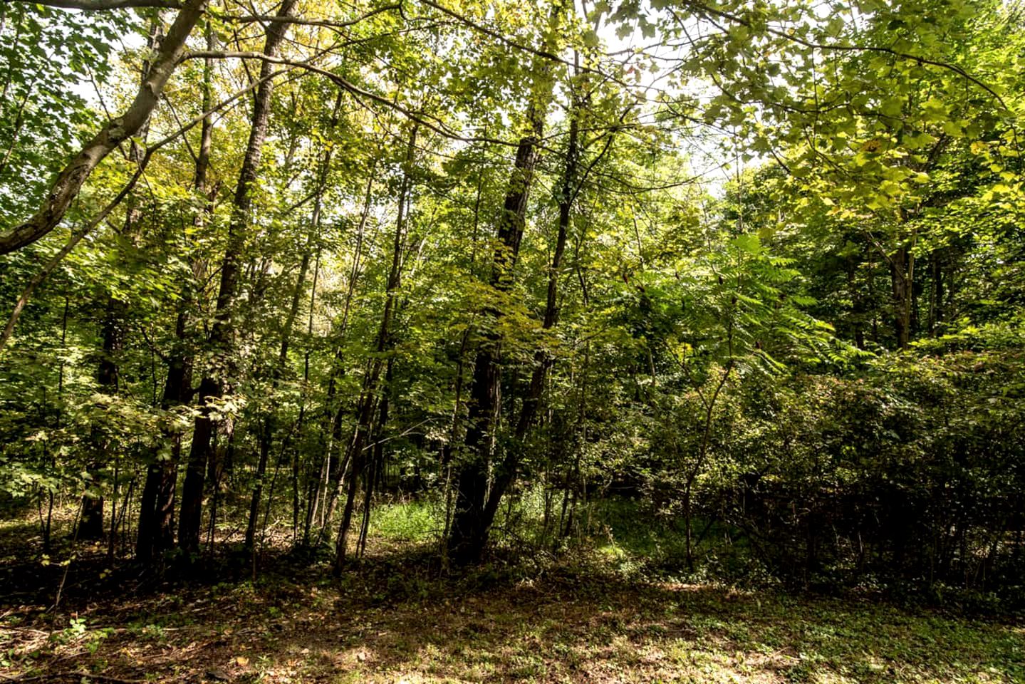 Modern Caravan for Fun Weekend Trips from New York