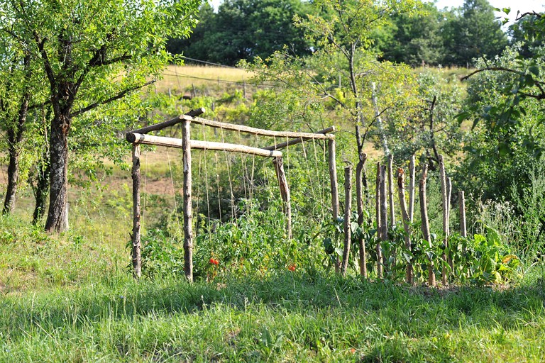 Cottages (Kozje, Savinja, Slovenia)