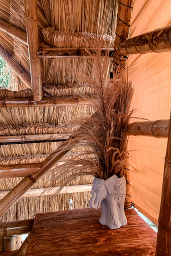 Huts (Chinchiná, Caldas, Colombia)