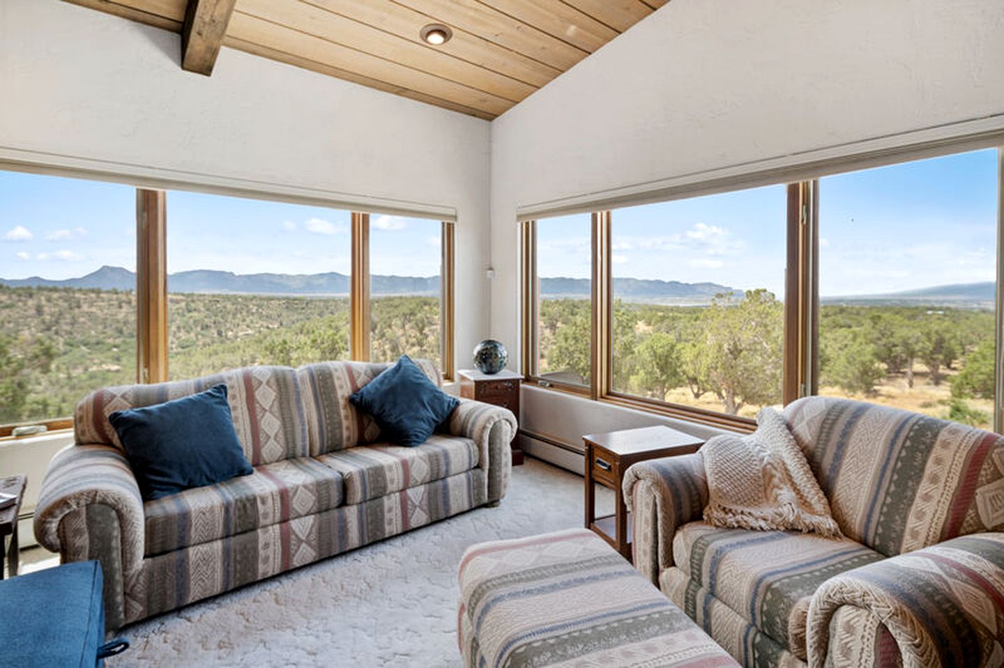 Luxury Vacation Rental with a Fireplace and Views near McPhee Reservoir in Colorado