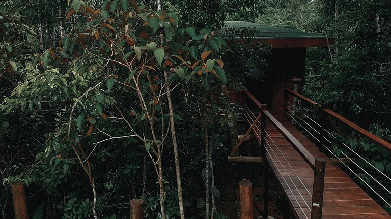 Tree Houses (Paraty, Rio de Janeiro, Brazil)