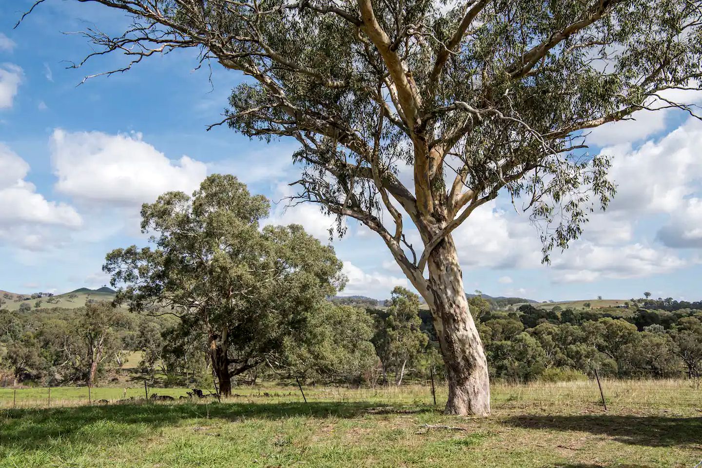 Spacious Lodge Ideal for Family Getaways in New South Wales