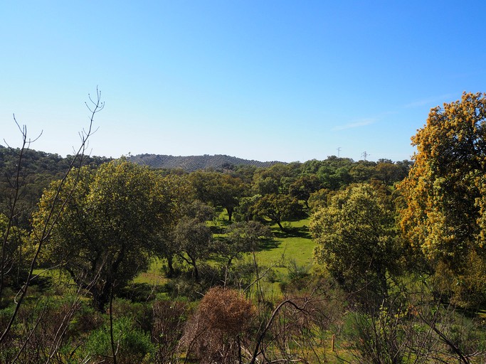 Safari Tents (Cordoba, Andalusia, Spain)