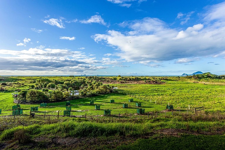 Yurts (Whakatane, North Island, New Zealand)