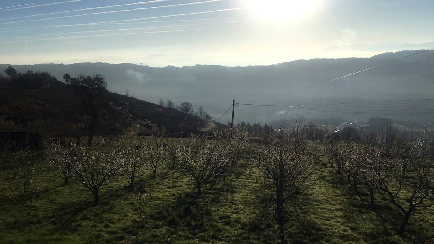 Beautiful Dome Rental Hidden in the Majestic Douro Valley in the North of Portugal