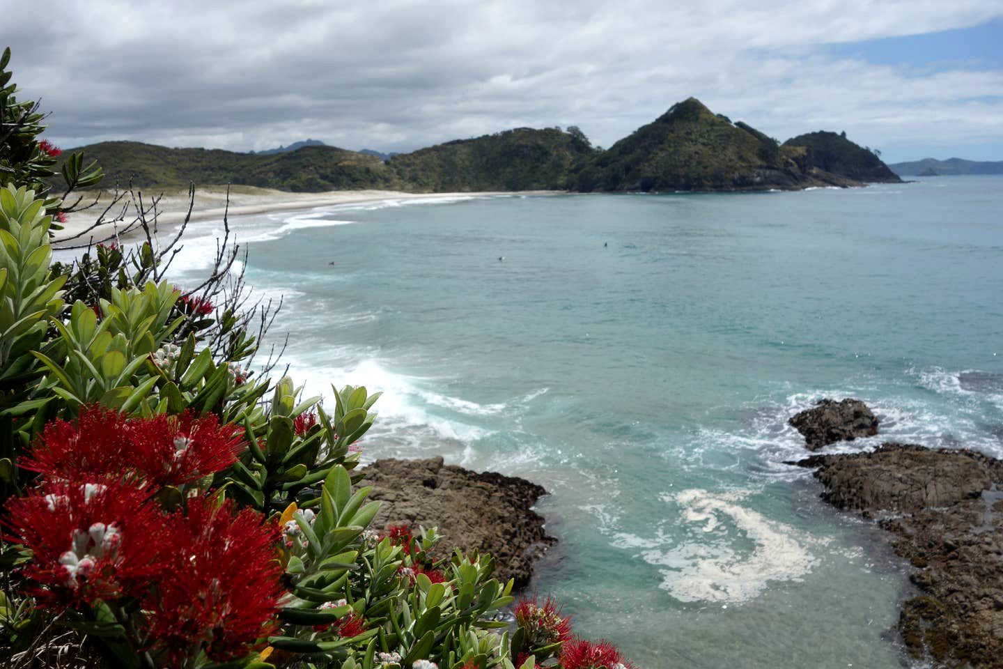 Clifftop Great Barrier Island Accommodation for a Secluded Getaway