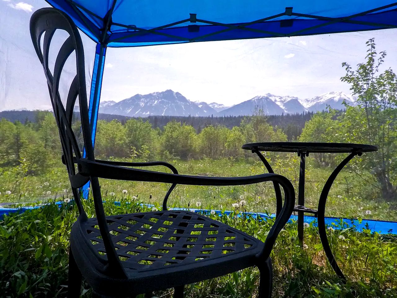 Fabulous Dogsled Retreat Ideal for Columbia Valley Vacations