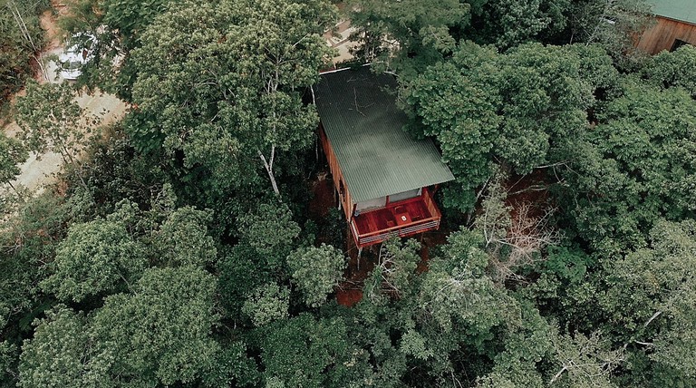 Tree Houses (Paraty, Rio de Janeiro, Brazil)