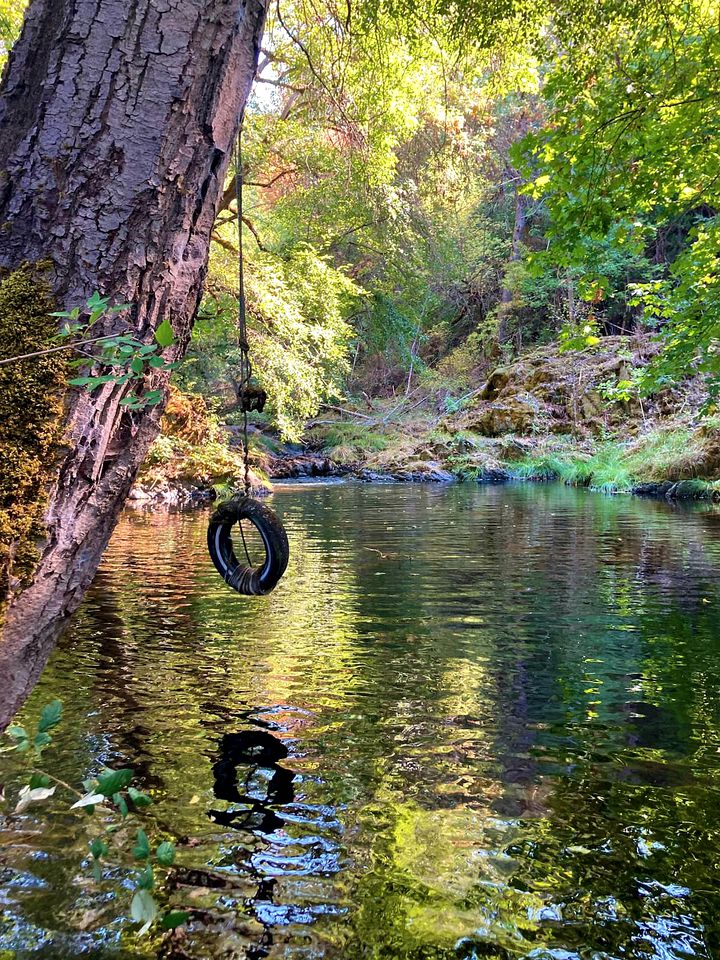 Secluded Farm Stay for a Perfect Oregon Glamping Experience