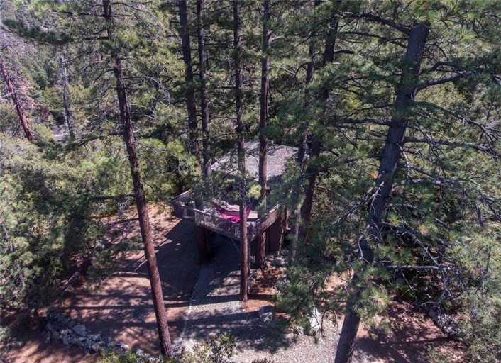 Tree Houses (Pine Mountain Club, California, United States of America)