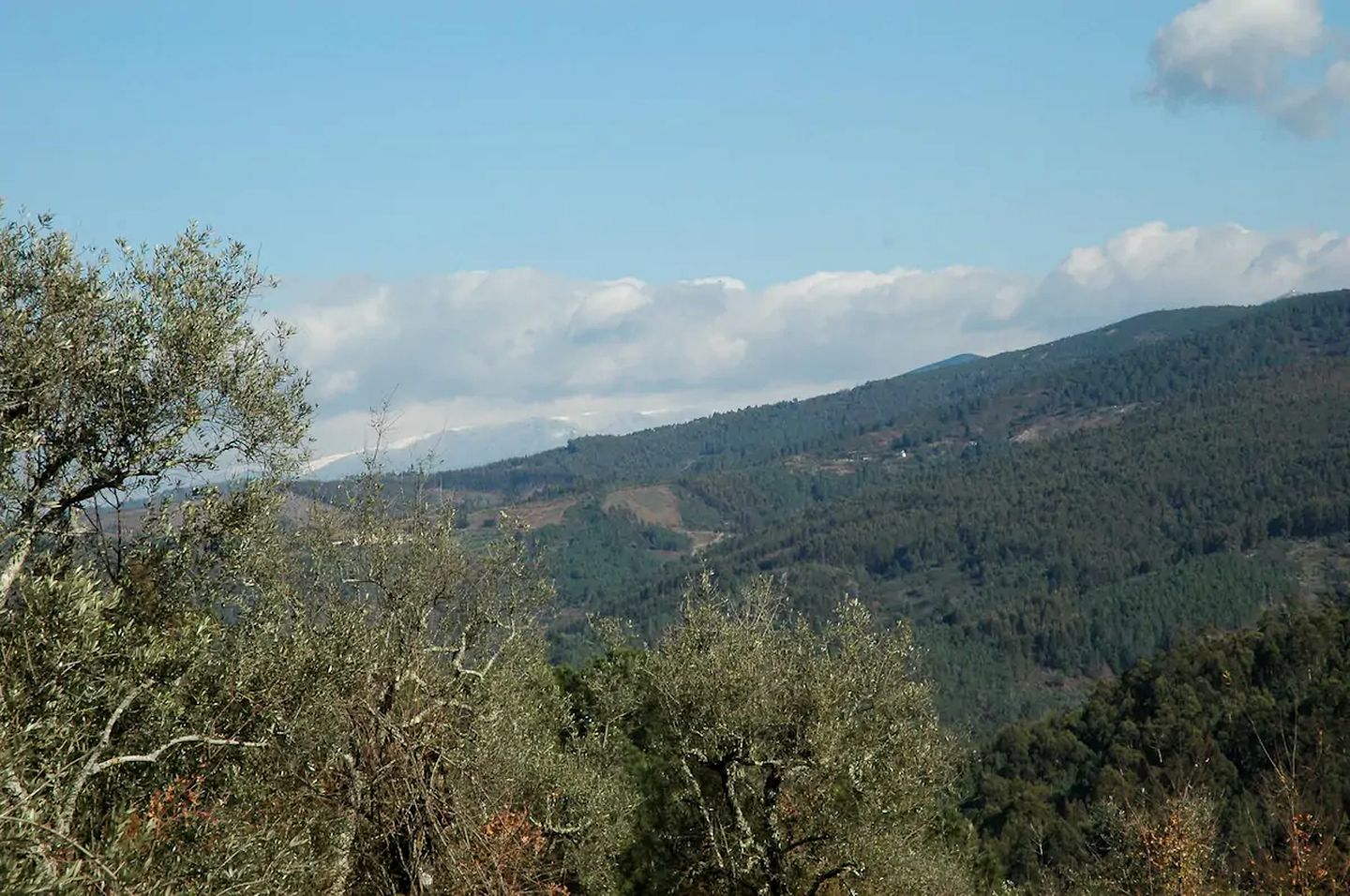 Rustic Hobbit House Accommodation in Serra do Açor for a Relaxing Holiday in Portugal