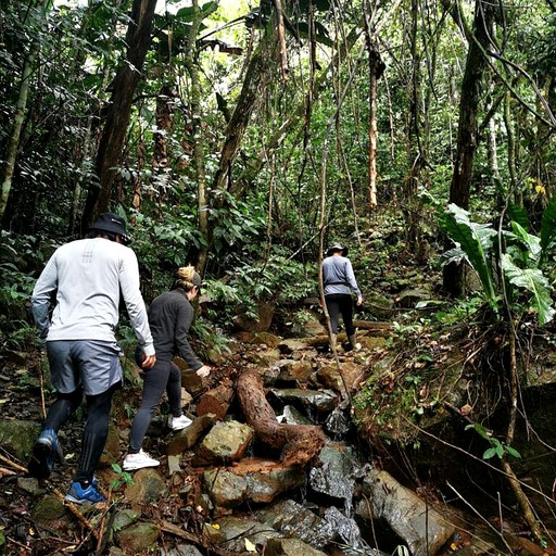 Huts (Concordia, Antioquia, Colombia)