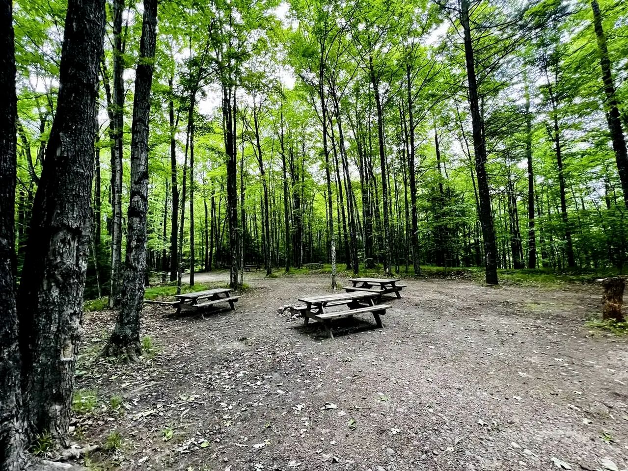 Couples Cabin Close to Wolf River for a Peaceful Escape near White Lake, Wisconsin