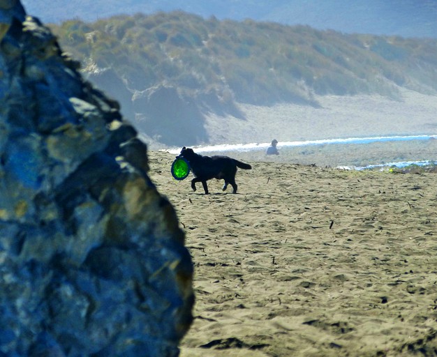 Cottages (Dillon Beach, California, United States)
