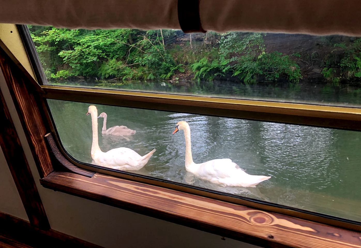 Tiny Boat Rental for One of The Best Getaways in Scotland