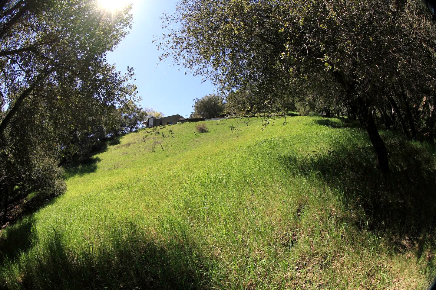 Tranquil Tipi Rental for California Glamping in the Santa Monica Mountains