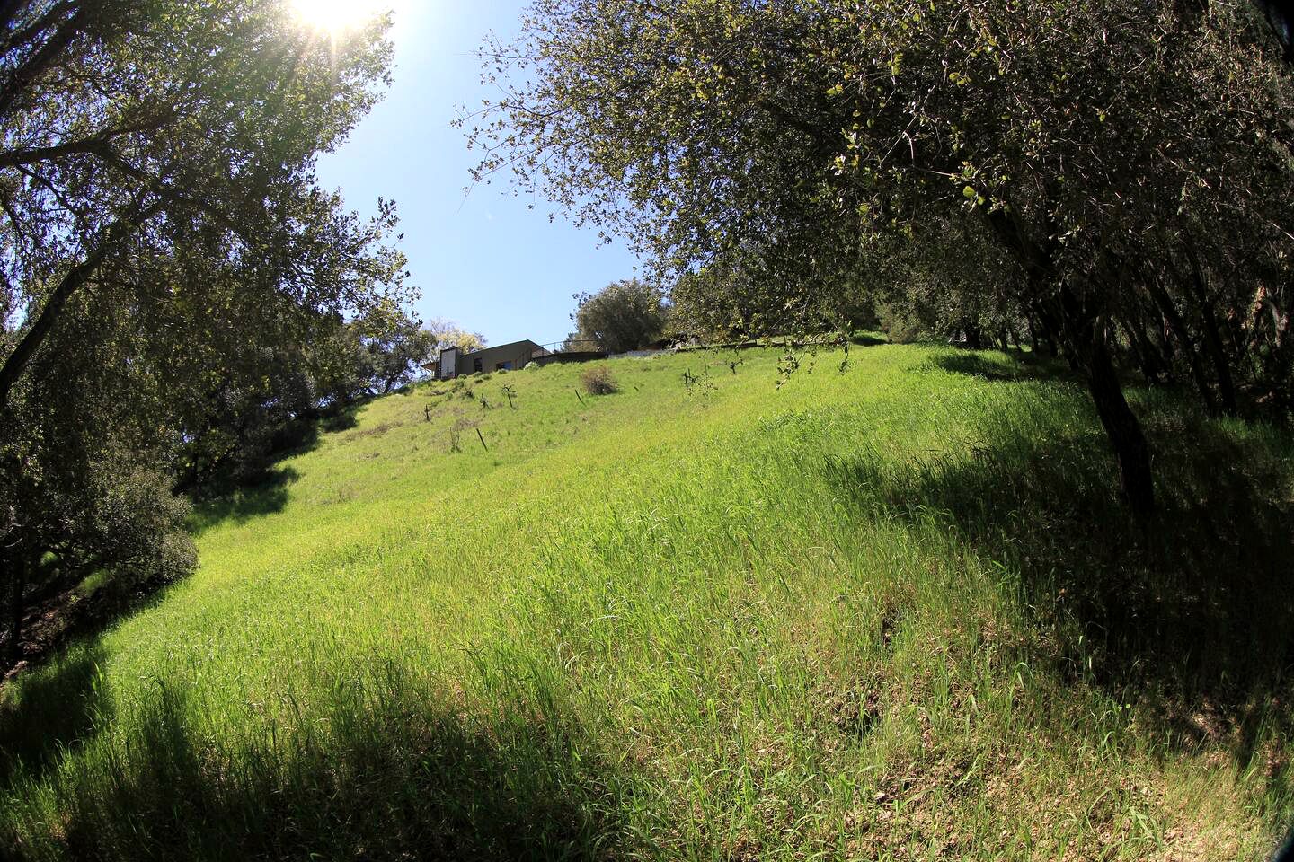 Tranquil Tipi Rental for California Glamping in the Santa Monica Mountains