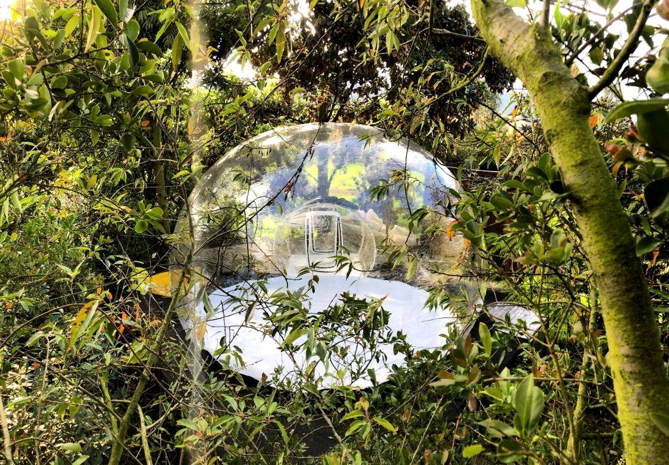 Amazing bubble rental for romantic glamping in Colombia