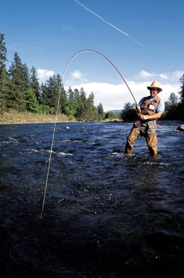 Peaceful Cabin Rental near the Piedra River Perfect for Glamping in Colorado