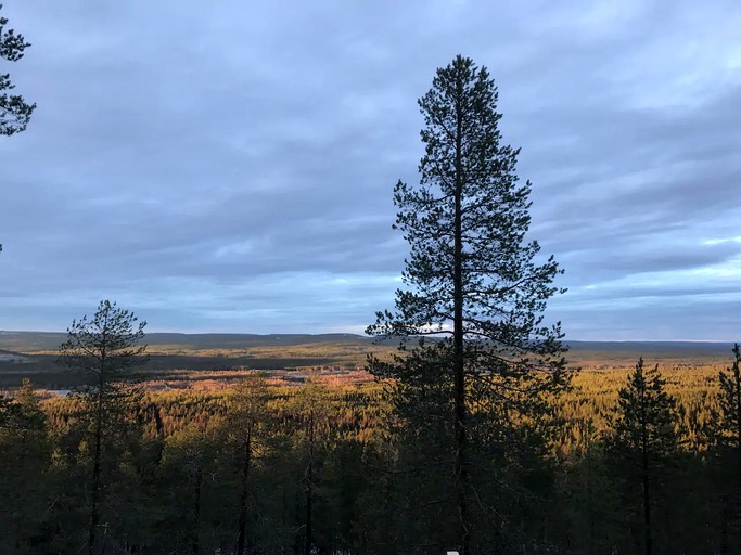 Yurts (Rovaniemi, Lapland, Finland)