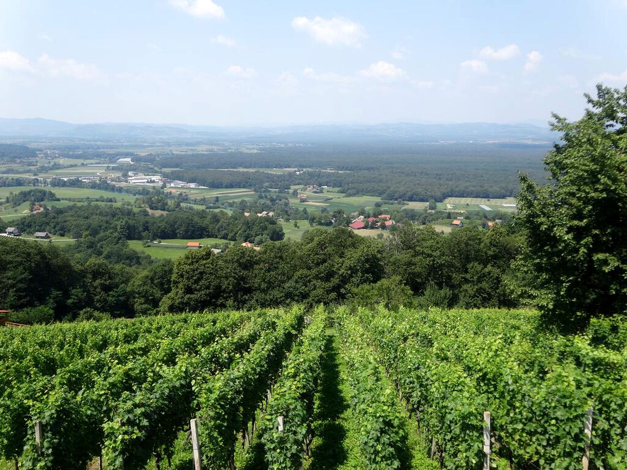 Idyllic Holiday Accommodation on a Beautiful Farm in Kozje, Eastern Slovenia