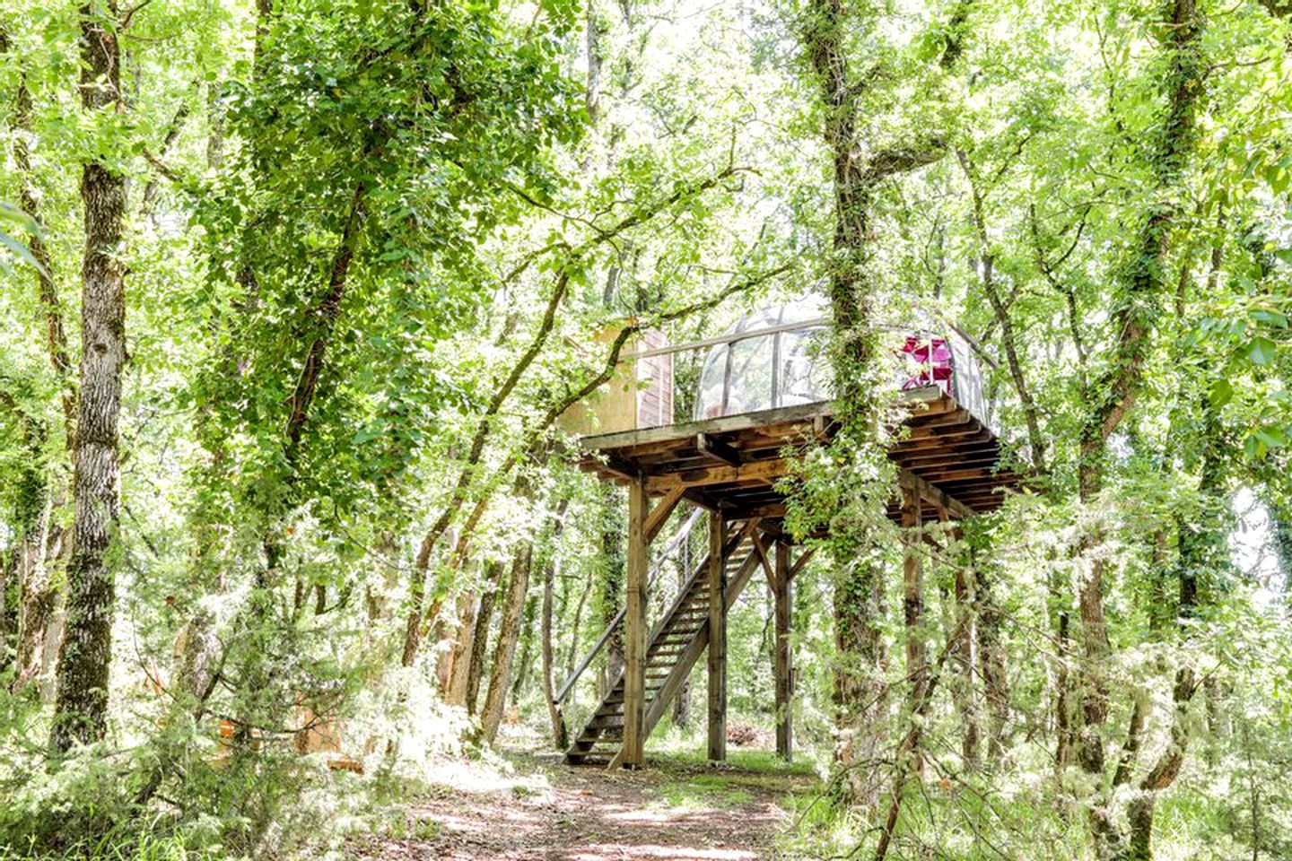 Magical Dome with a Hot Tub for a France Glamping Retreat