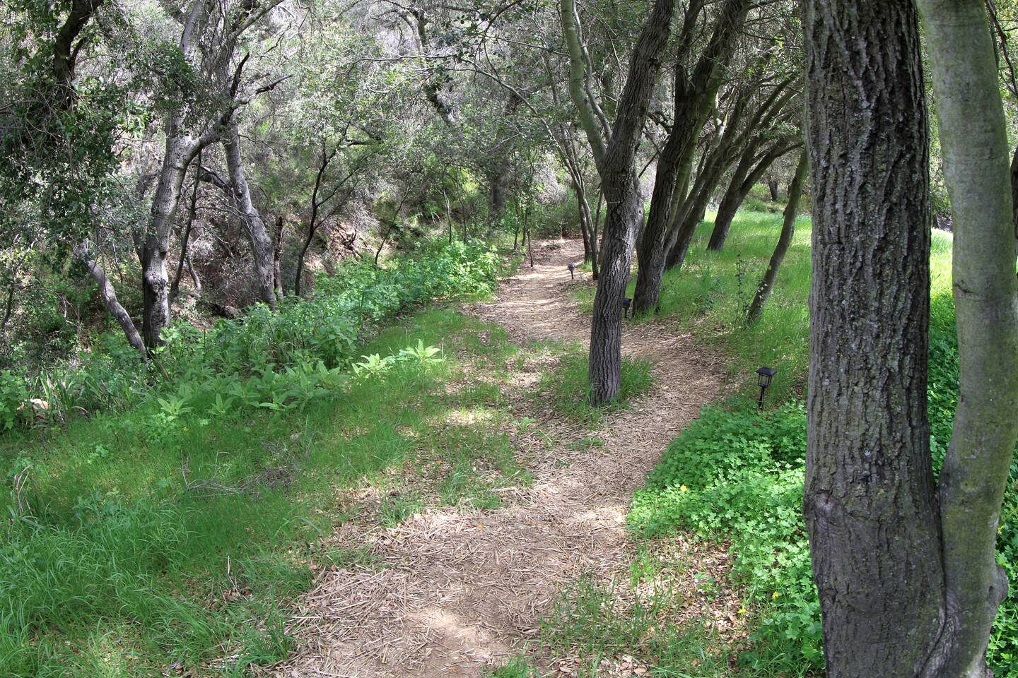 Tranquil Tipi Rental for California Glamping in the Santa Monica Mountains