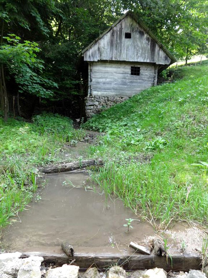 Idyllic Holiday Accommodation on a Beautiful Farm in Kozje, Eastern Slovenia