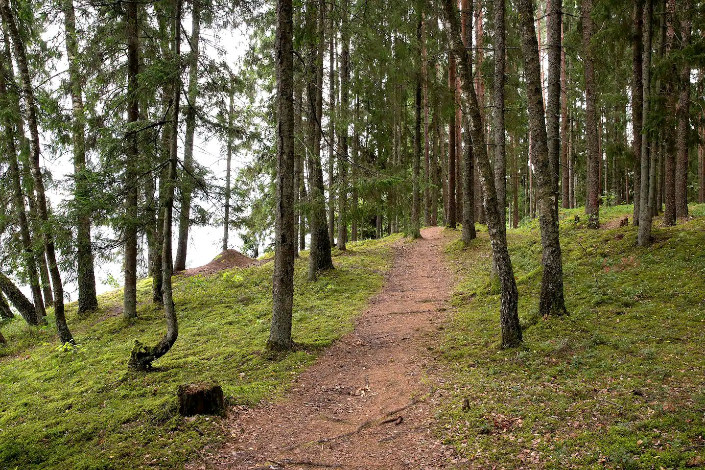 Romantic Tiny House Rental Perfect for Glamping in Latvia