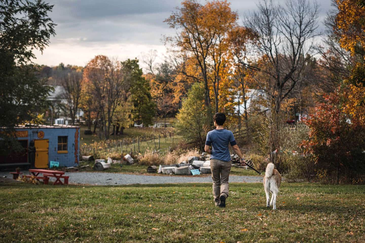 Tiny House Rental Perfect for a Relaxing Weekend Trip in New York State