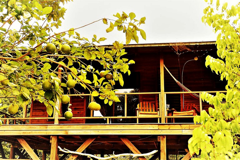 Tree Houses (San Ignacio, Cayo District, Belize)