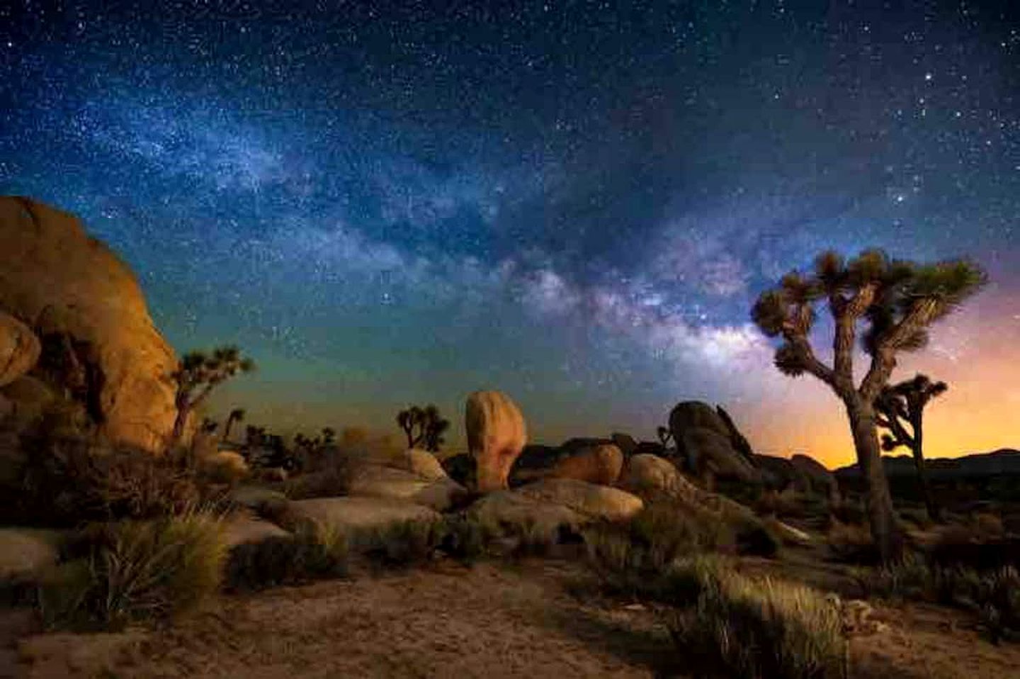 Luxury Dome Rental Under the Stars for Joshua Tree Glamping