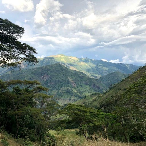 Huts (Concordia, Antioquia, Colombia)