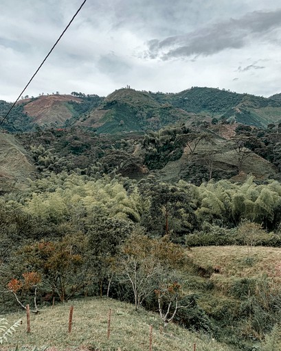 Huts (Chinchiná, Caldas, Colombia)