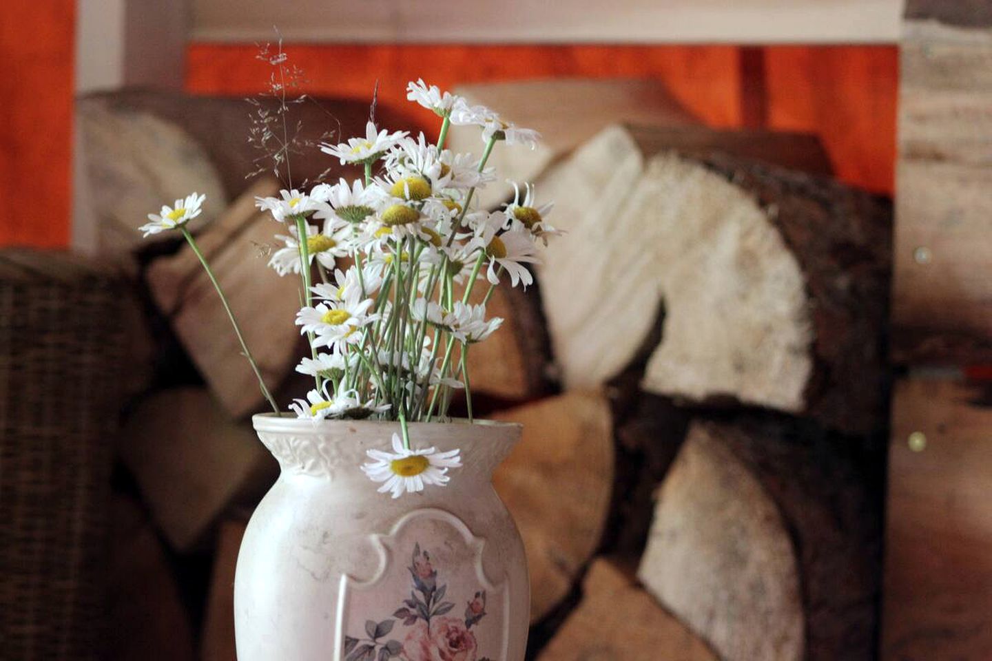 Off-Grid British Columbia Glamping Rental at a Dogsled Retreat