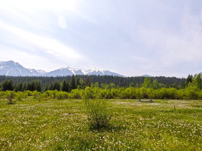 Tiny Houses (Golden, British Columbia, Canada)