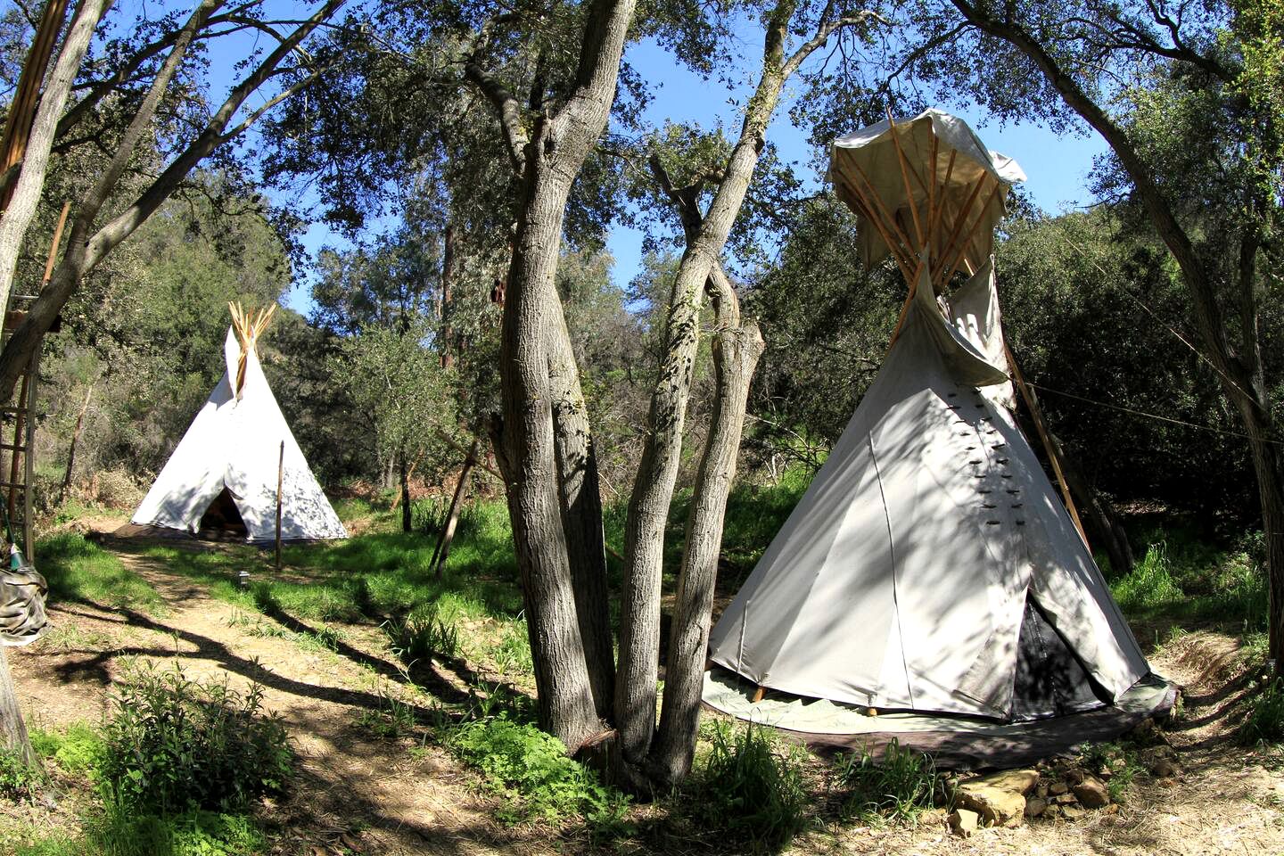 Tranquil Tipi Rental for California Glamping in the Santa Monica Mountains