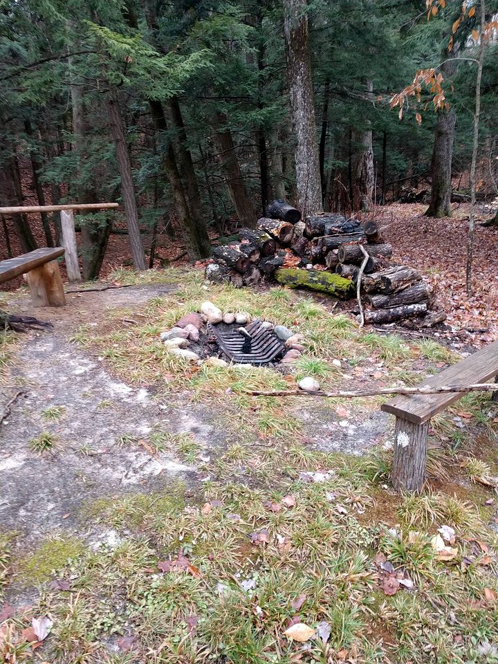Charming Cabin Rental Ideal for a Family Getaway in Michigan