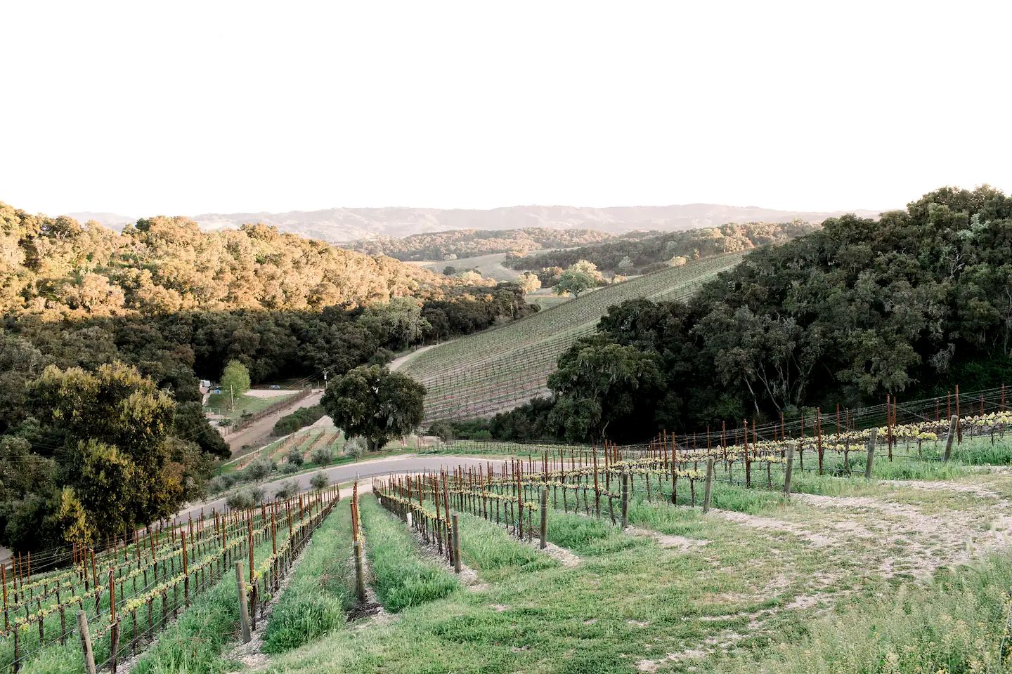 Gorgeous Paso Robles Cabin for Glamping in California